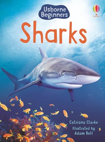Sharks (Usborne Beginners) - Paperback