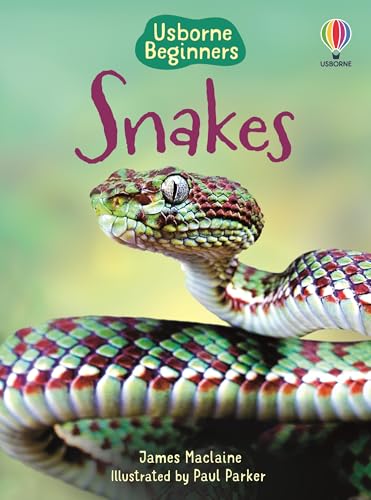Snakes (Usborne Beginners) - Paperback