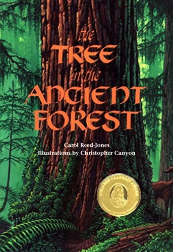 The Tree in the Ancient Forest - Paperback
