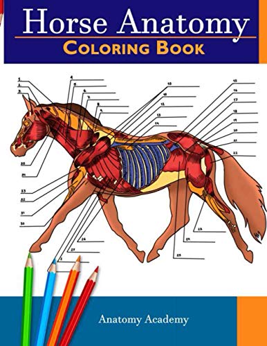 Horse Anatomy Coloring Book: Incredibly Detailed Self-Test Equine Anatomy Color workbook Perfect Gift for Veterinary Students, Horse Lovers & Adults - Paperback