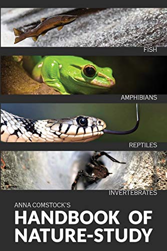 The Handbook Of Nature Study in Color - Fish, Reptiles, Amphibians, Invertebrates - Paperback