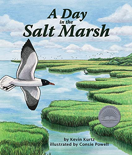 A Day in the Salt Marsh - Paperback
