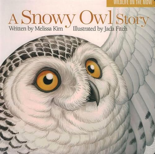 A Snowy Owl Story - Board Books