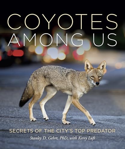 Coyotes Among Us: Secrets of the City's Top Predator - Hardcover