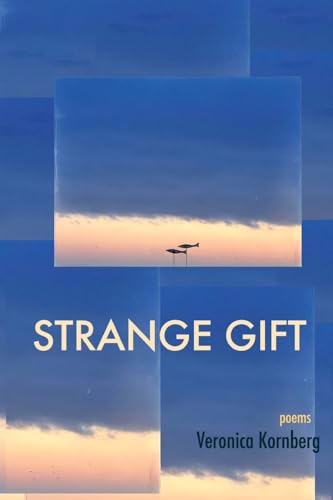 Strange Gift - Paperback