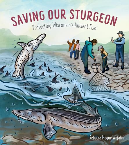 Saving Our Sturgeon: Protecting Wisconsin's Ancient Fish - Paperback