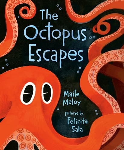 The Octopus Escapes - Hardcover