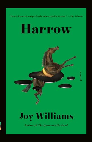 Harrow: A Novel (Kirkus Prize) - Paperback