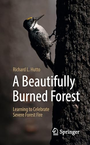A Beautifully Burned Forest: Learning to Celebrate Severe Forest Fire - Paperback