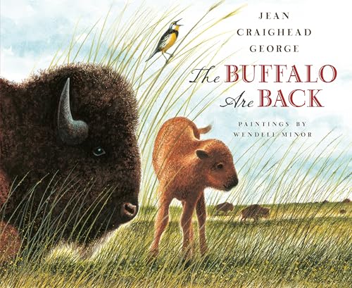 The Buffalo Are Back - Paperback