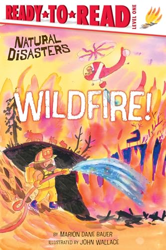 Wildfire!: Ready-To-Read Level 1 - Paperback