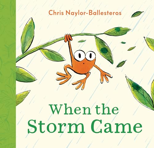 When the Storm Came - Hardcover
