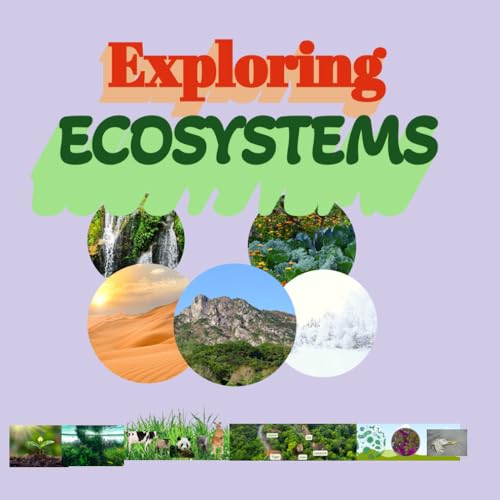 Exploring Ecosystems: for kids 8 to 12 years Producers Herbivores carnivores Decomposers Types of Ecosystems Ocean Food Chain food chain food web - Paperback