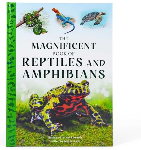 The Magnificent Book of Reptiles and Amphibians - Hardcover