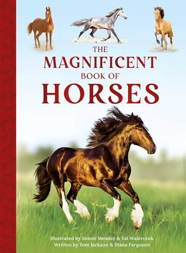 The Magnificent Book of Horses - Hardcover