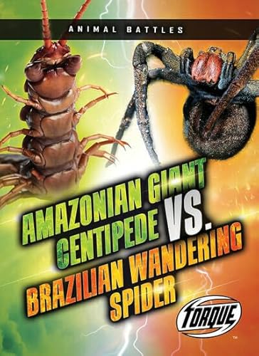 Amazonian Giant Centipede vs. Brazilian Wandering Spider - Paperback