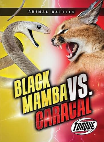 Black Mamba vs. Caracal - Paperback
