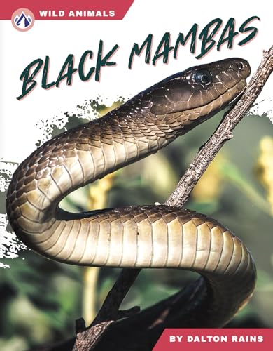 Black Mambas - Library Binding