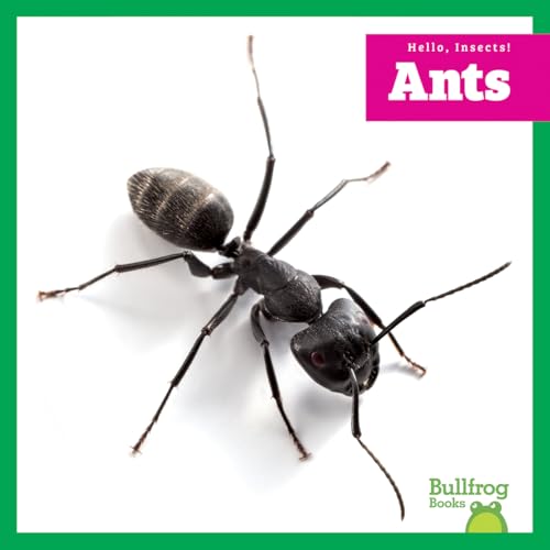 Ants - Library Binding