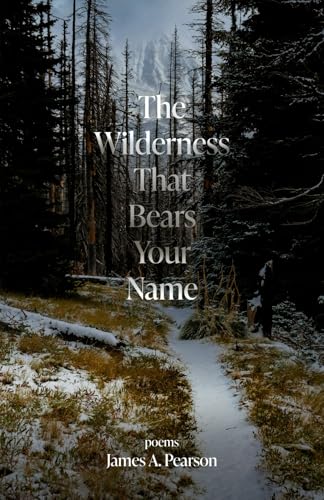 The Wilderness That Bears Your Name - Paperback