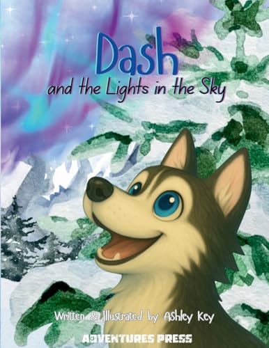 Dash and the Lights in the Sky - Paperback