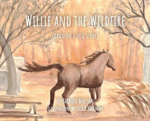 Willie and the Wildfire - Hardcover