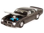 1976 Pontiac Firebird T/A "Barn Finds" Gray Metallic (Weathered) with White Interior "Big Country Collectibles" 2025 Series 1/64 Diecast Model Car by Auto World-2